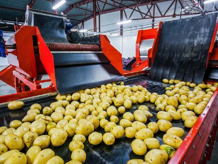Patata andalucía maquinaria