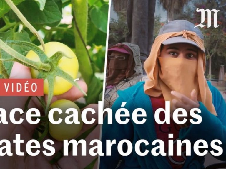 Reportaje Le Monde tomate Marruecos