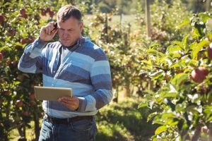 farmer-using-digital-tablet-while-talking-mobile-phone-apple-orchard
