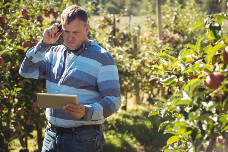 farmer-using-digital-tablet-while-talking-mobile-phone-apple-orchard