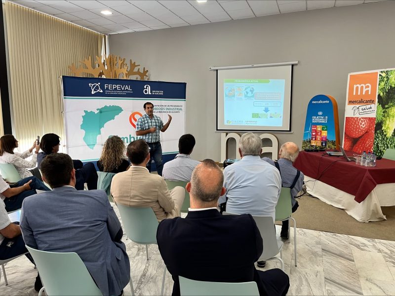 jornada_mercalicante_fepeval (2)