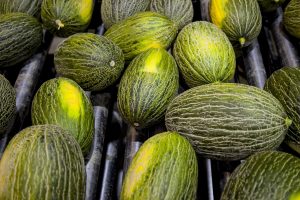 melon