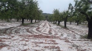 LAS-TORMENTAS-DE-GRANIZO-LA-UNIO-AVA-ASAJA