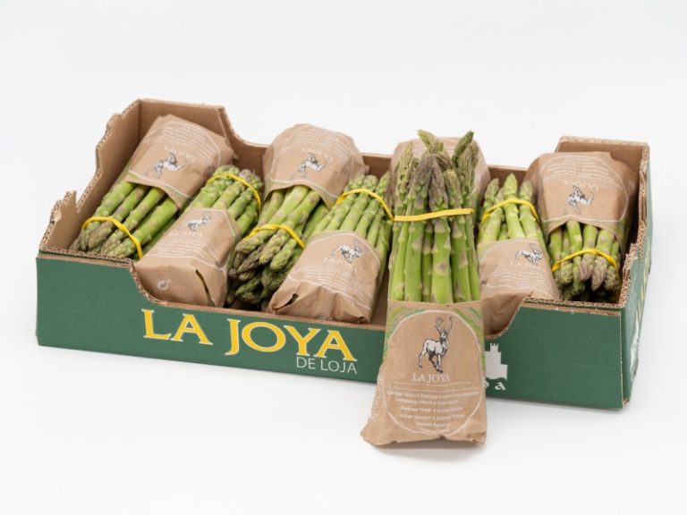 Los Gallombares espárrago verde