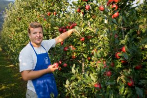 VOG_Home of Apples_2