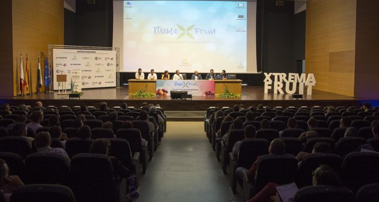 Xtrema-Fruit