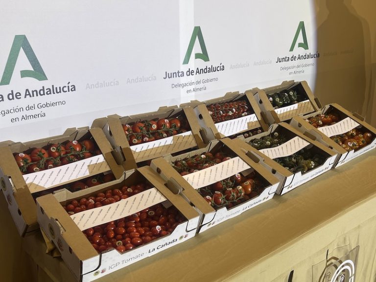 -20240202_Tomate20240202_Tomate-IGP-La-Canada-copia