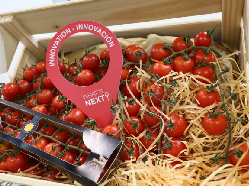 BASF NUNHEMS FRUIT ATTRACTION 2024 tomate