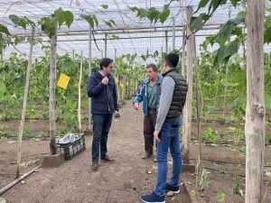 DANA daños invernadero visita alcalde el ejido