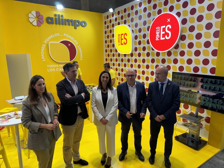 nueva imagen ailimpo