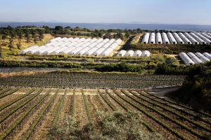 Instalaciones de Producción