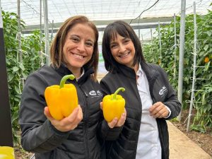 Isabel Rodríguez y Dolores Alcántara Faraday pimiento vilmorin mikado