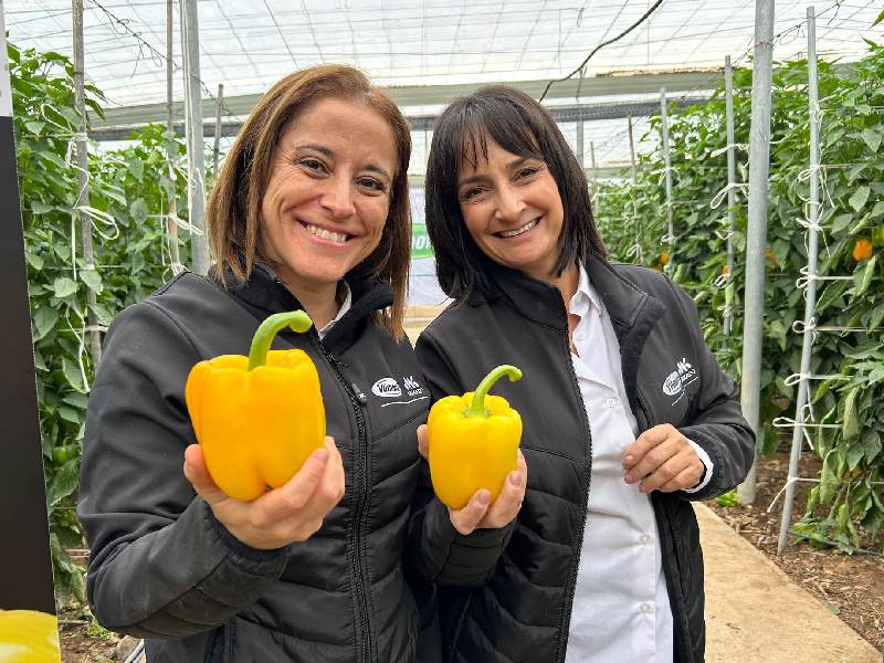 Isabel Rodríguez y Dolores Alcántara Faraday pimiento vilmorin mikado