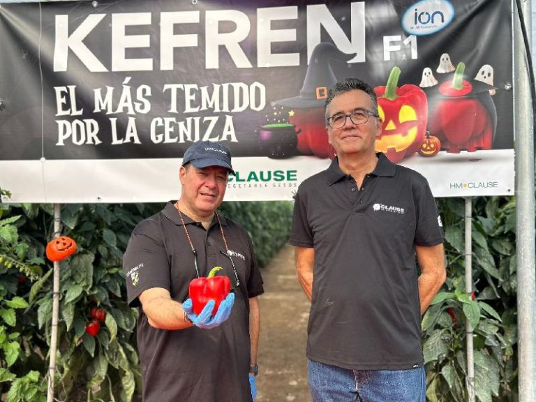 KEFREN F1 HMCLAUSE jornada campo Halloween