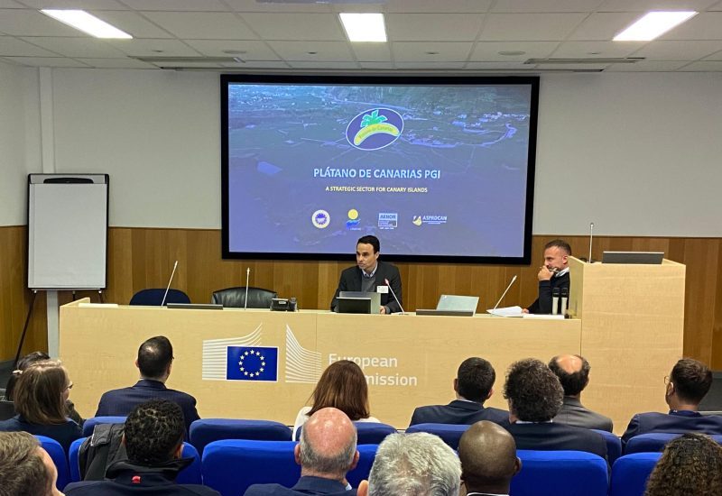 Reunión APEB - Comisión Europea