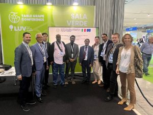 Table Grape Business Tour ISMEA LUV