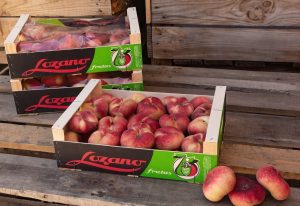 frutas-lozano-np