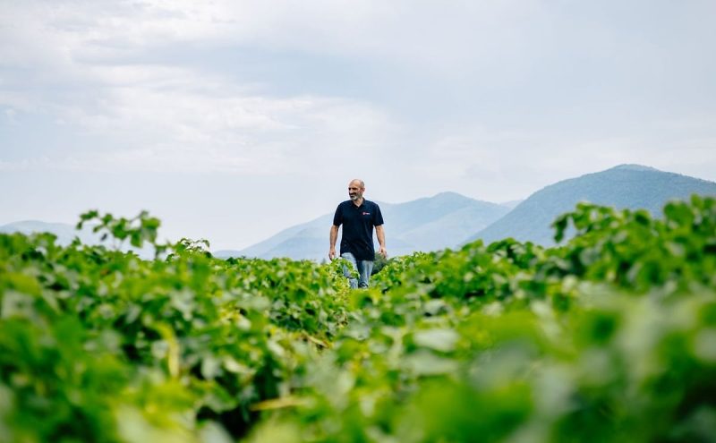 potato-days-hzpc-day-2400