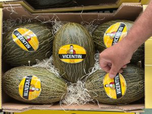 melones-vicentin-peris-2024-01