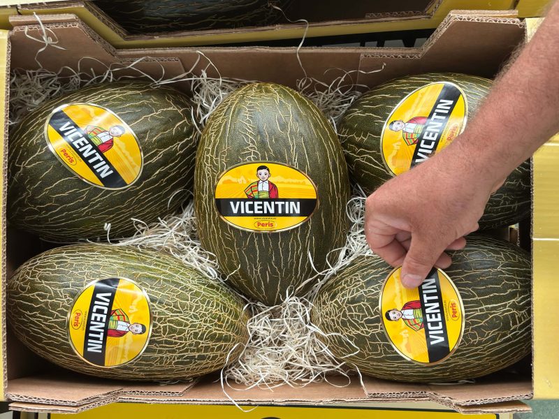 melones-vicentin-peris-2024-01