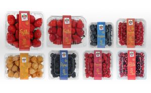psp-investments-hortifrut