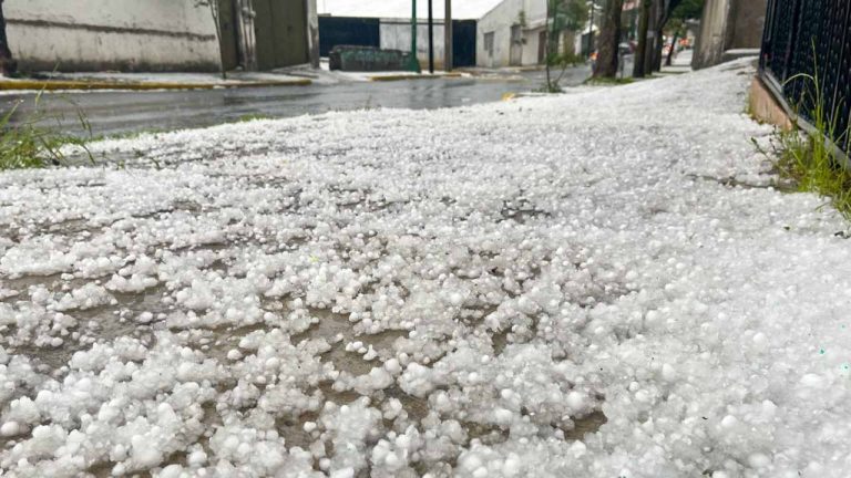 líneas-de-financiación-granizo-andalucía