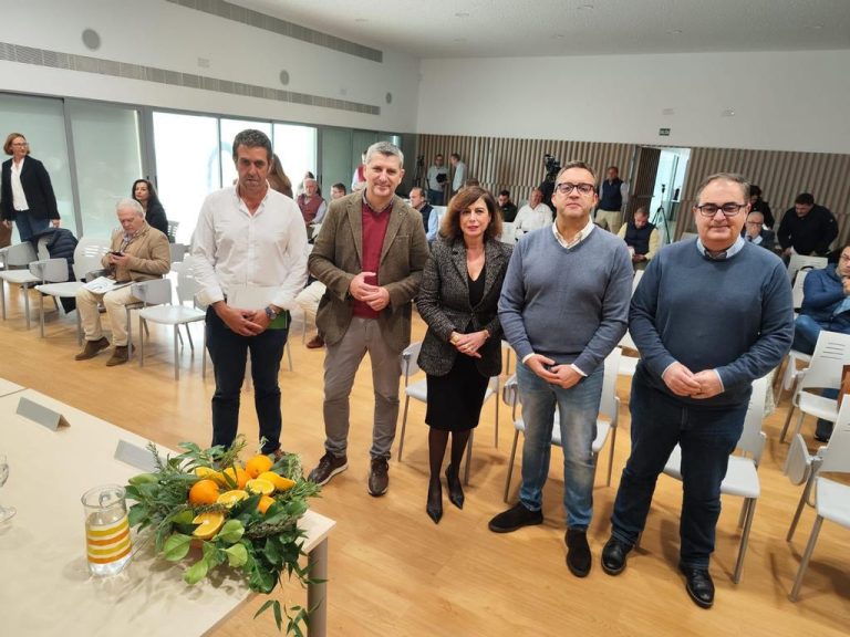 valle-de-guadalquivir-informe-cítricos