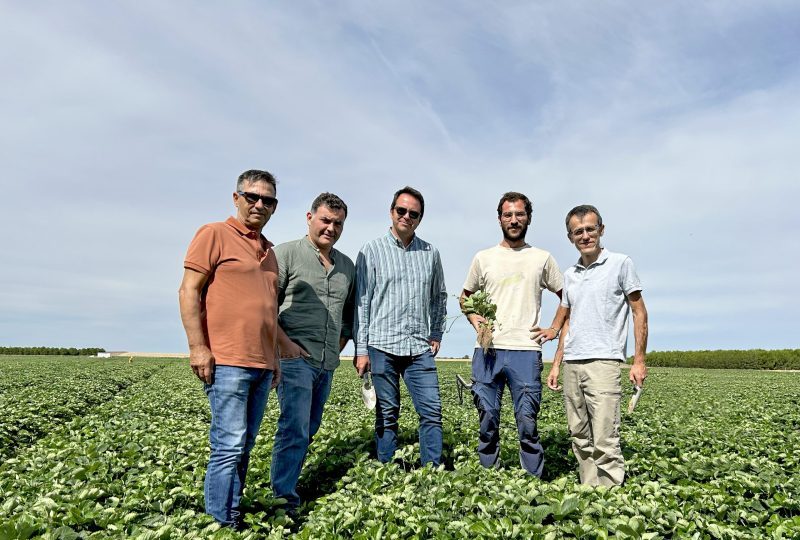El Pinar hace balance de la campaña de vivero