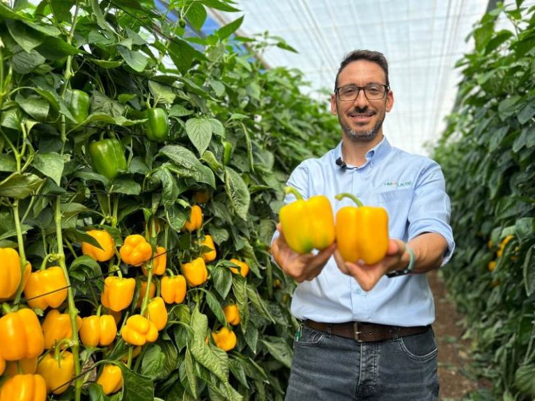 HMCLAUSE jornada Belenus pimiento_David González