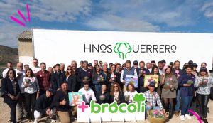 másbrócoli-+brócoli-mejor-brócoli