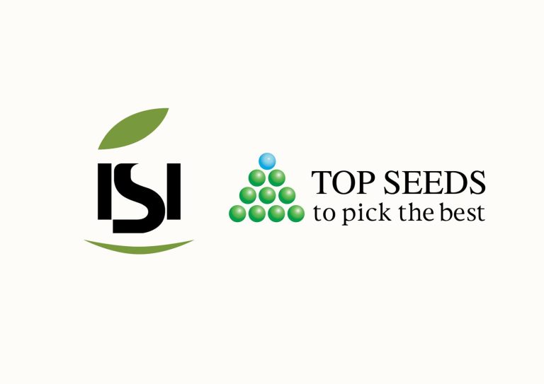 isi-sementi-y-top-seeds