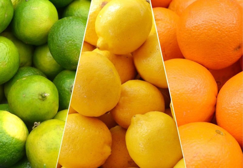 citricos-hemisferio-norte