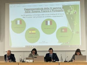 comite mixto frutas y hortalizas parís 2024