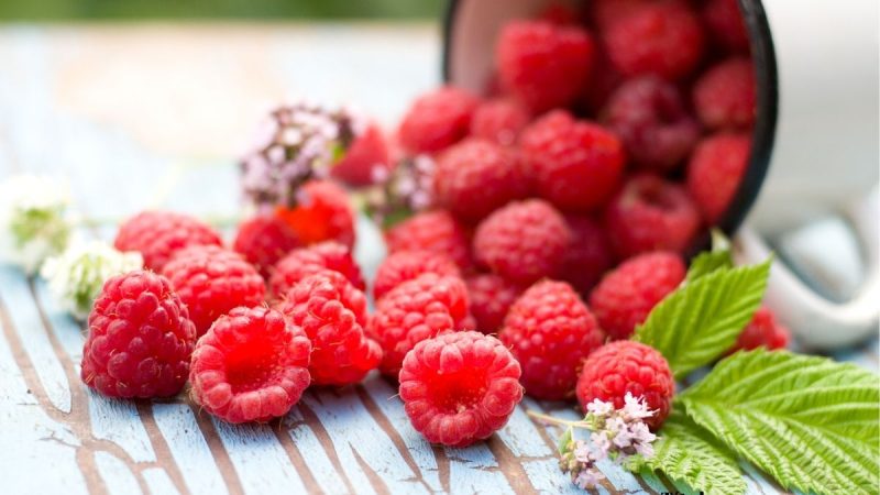 frambuesa-antioxidante
