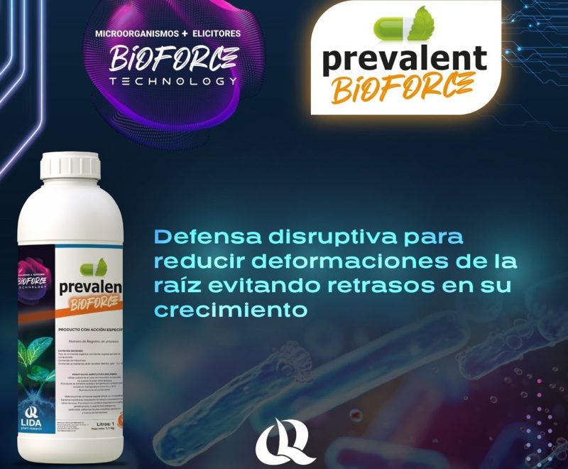 lida-plant-research-prevalent-bioforce
