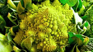romanesco-crudo