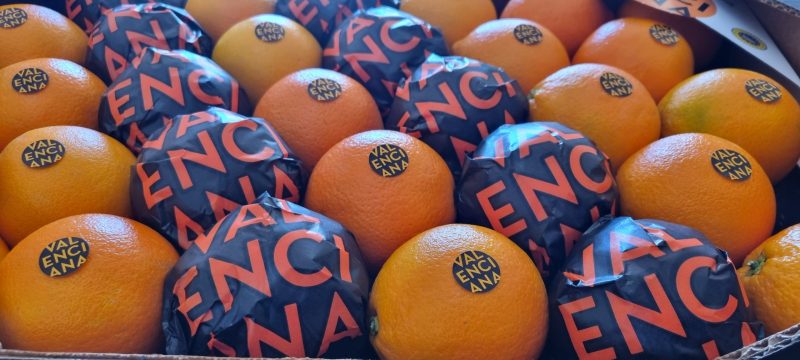 naranja-valenciana-igp