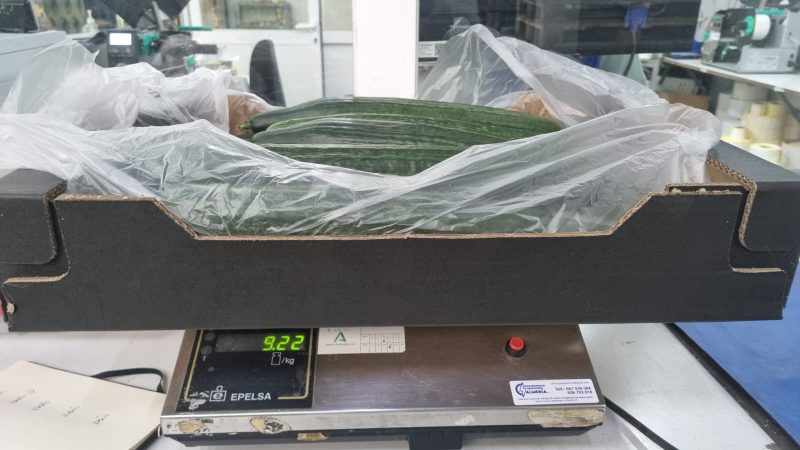 EXTENSIÓN-DE-NORMA-PEPINO