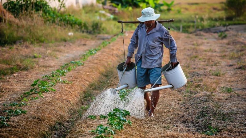 grupo-bei-agricultura