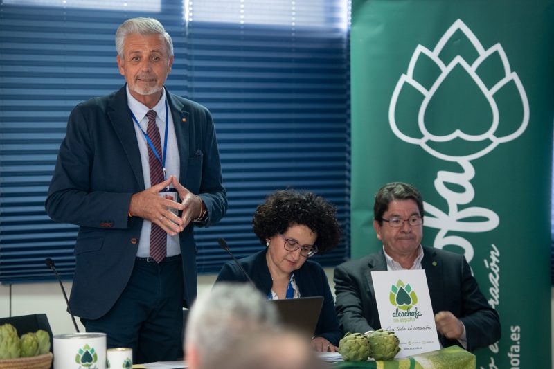 ALCACHOFA-DE-ESPAÑA