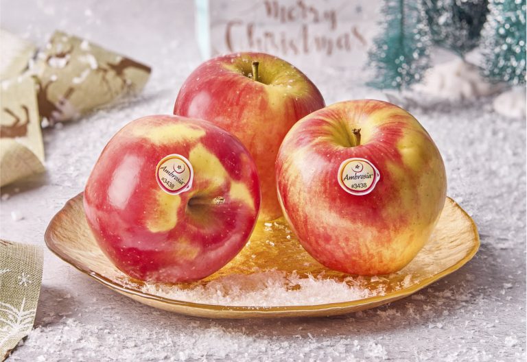 ambrosia