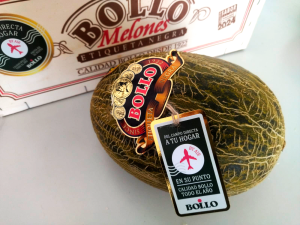 Melón-por-avión_Bollo