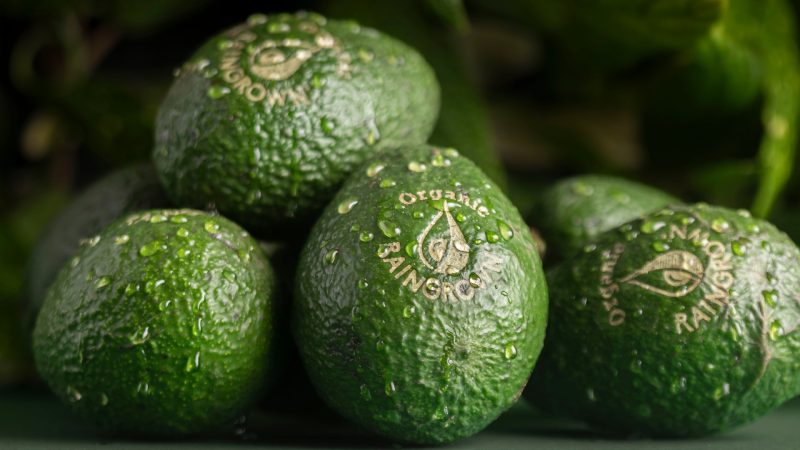 Organic-Raingrown-Avocado