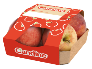 PACK CANDINE TRADI BARQUETTE 4F (1)