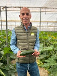 SYNGENTA Genética y Resistencia Nueva Delhi_calabacín jornada campo