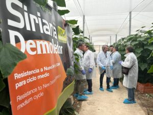 syngenta-variedades-nueva-delhi