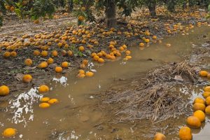 DANA-COMUNITAT-VALENCIANA