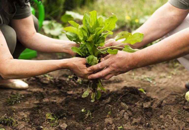 jóvenes-agricultores-relevo