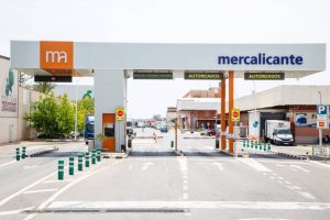 MERCALICANTE-MERCASA