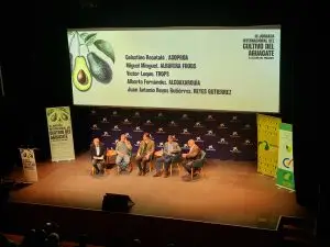 aguacate-valencia